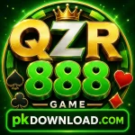 QZR888 Game