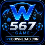 W567 Game