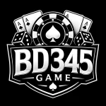 BD345 Game